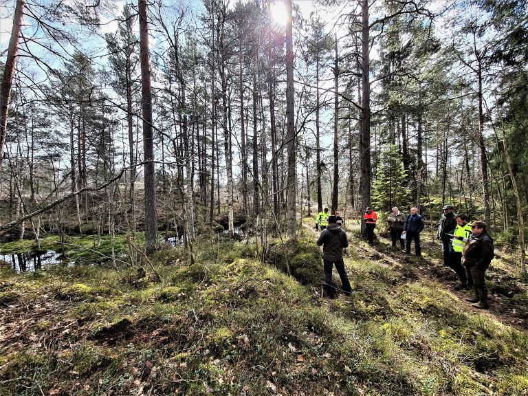 Den kommunägda skogen kring Fallebo i Oskarshamn.