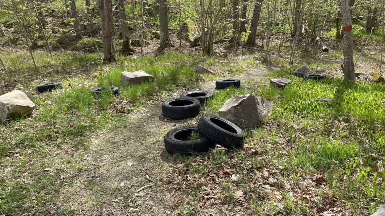 Nedskräpning i Sjöbovikens naturreservat i Oskarshamn