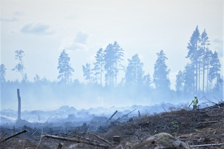 Skogsbrand utanför Fliseryd