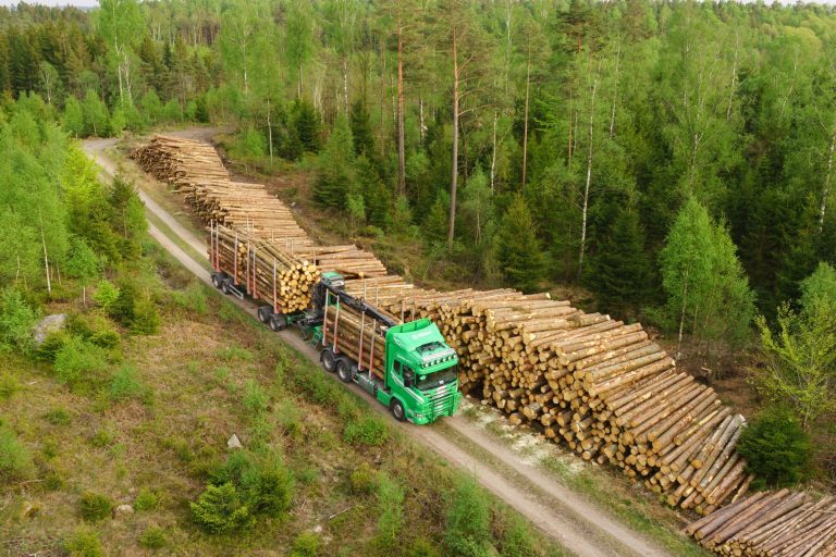 Timmerbil hämtar virke