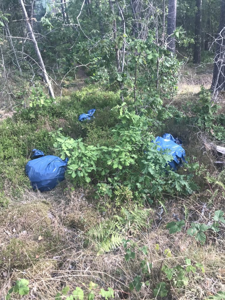 Nedskräpning i skogen utanför Oskarshamn