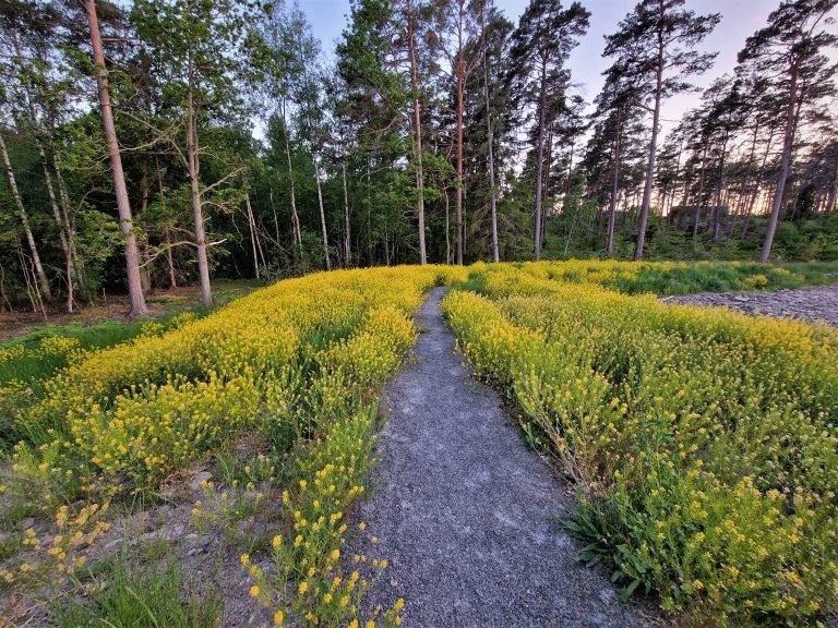 Stig i skogen i Oskarshamn