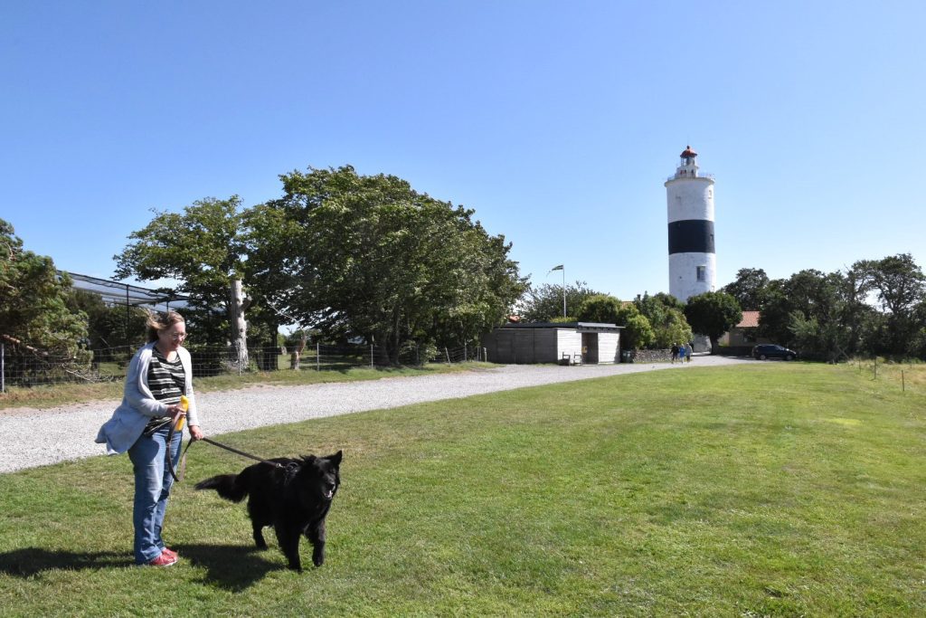 Det blåste rejält på södra udden på Öland när ON var där den 3 juli 2023