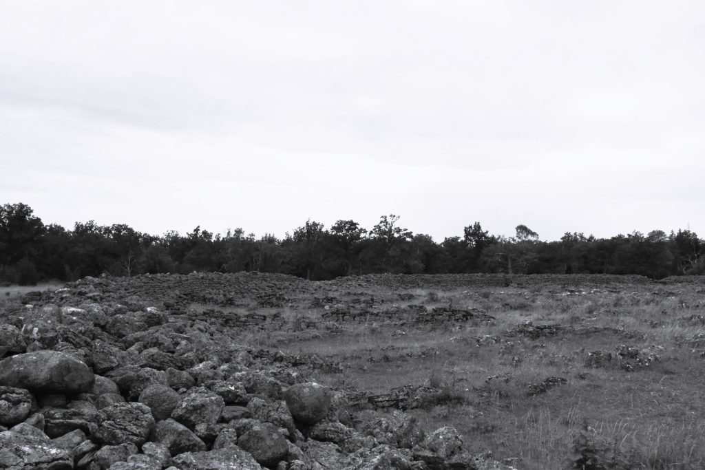 Ismantorps borg på Öland, svartvit bild