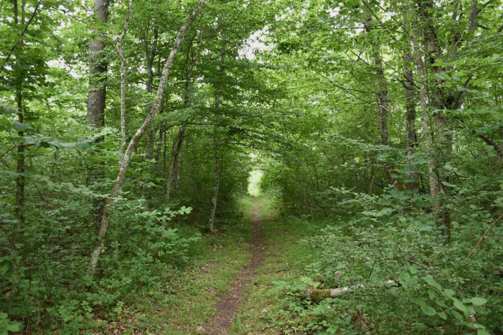 Mittlandsleden, Öland