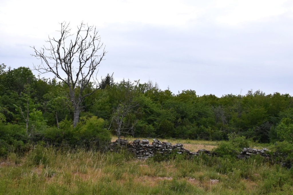 Mittlandsleden, Öland