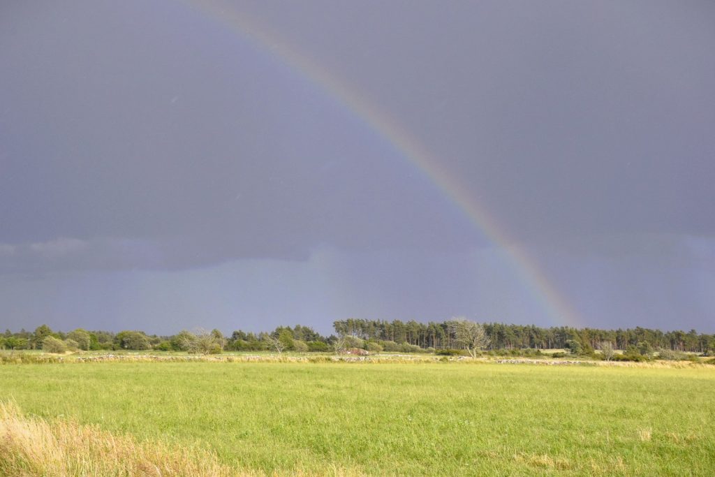 Regnbåge på Öland