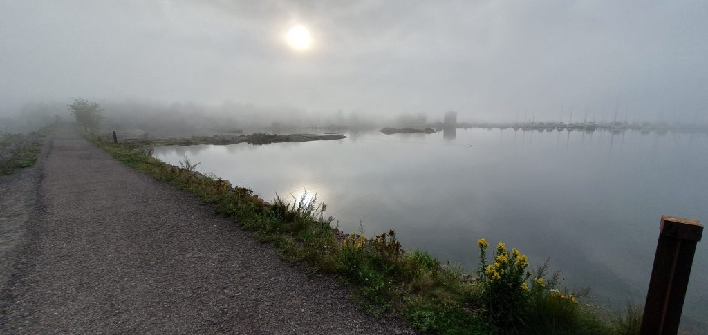 Disigt i Oskarshamn