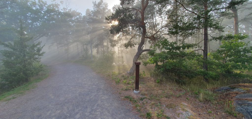 Disigt i Oskarshamn