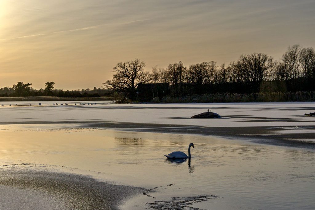 Naturbild