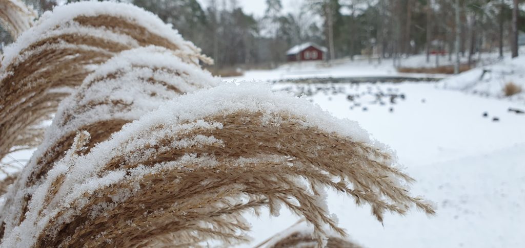 När vintern kom till Oskarshamn...