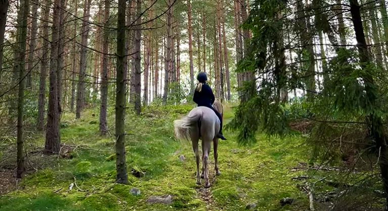 Barn rider i skogen