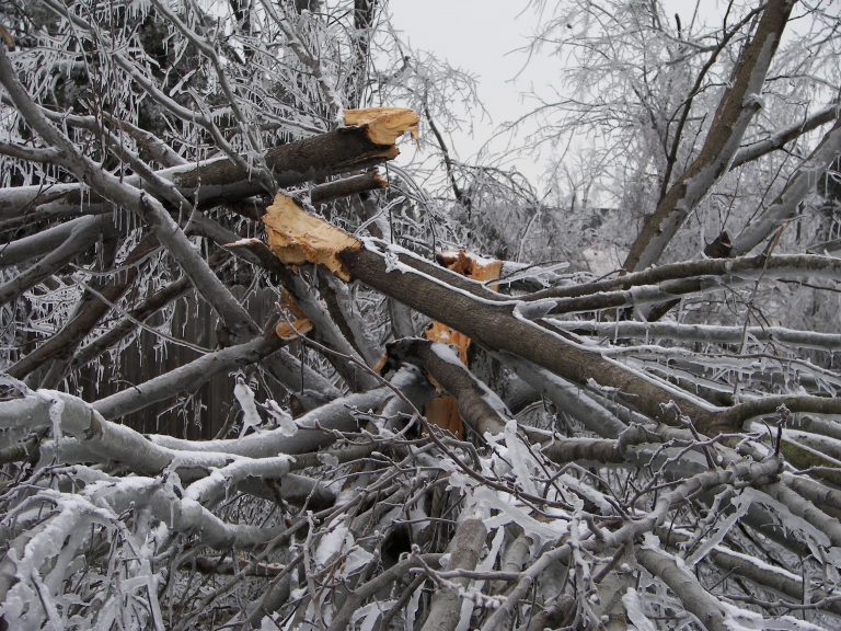 Stormskador