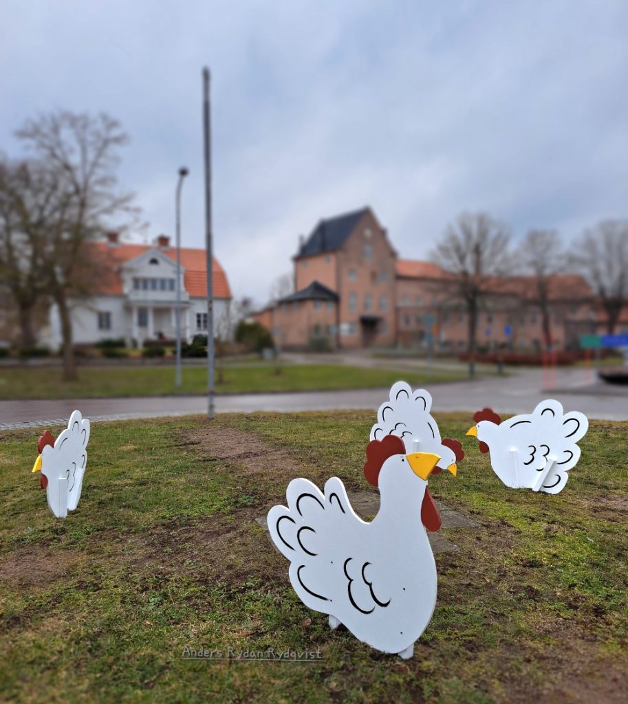 Höns välkomnar trafikanter i rondellen i Mönsterås