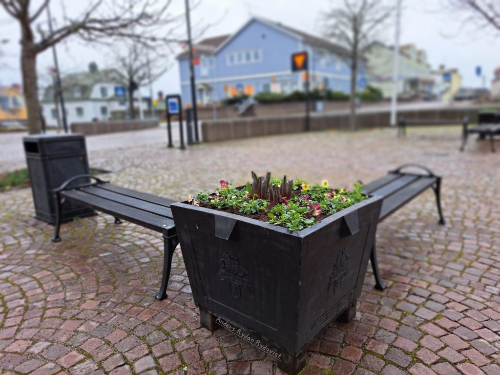 Vårplantering i Mönsterås