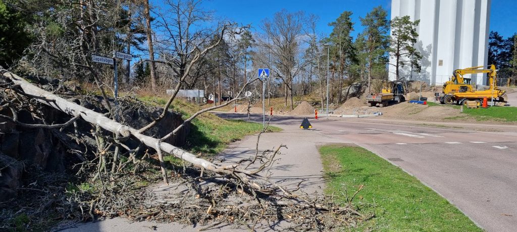 Omkullblåst träd på Stengatan i Oskarshamn