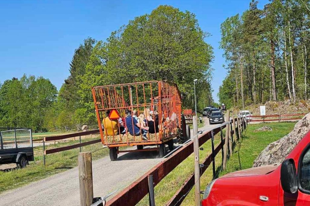 Hönsbytardagen i Kalvenäs