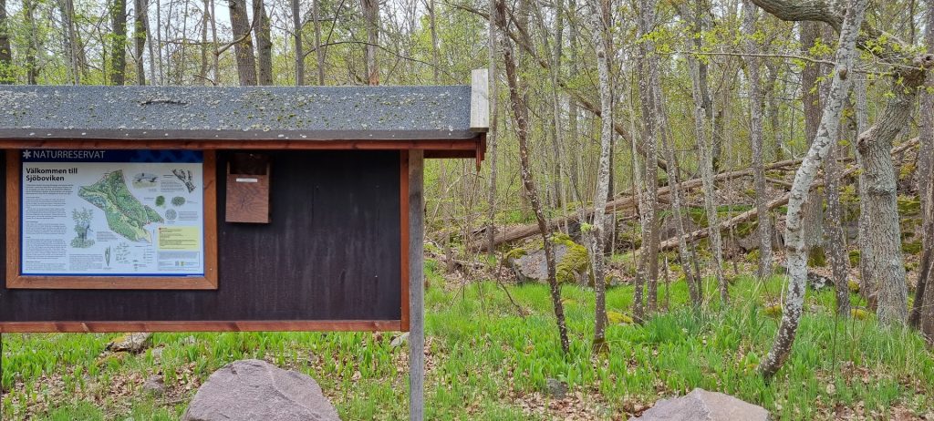 Sjöbovikens naturreservat i Kristineberg i Oskarshamn.