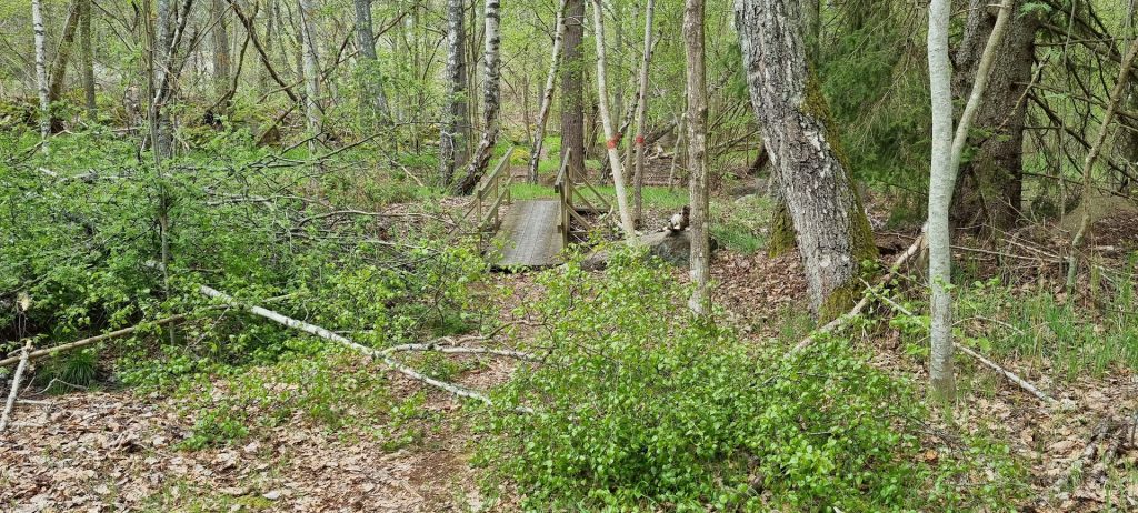 Sjöbovikens naturreservat i Kristineberg i Oskarshamn.