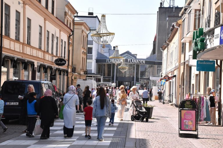 Tolvskillingsmarken i Oskarshamn, Flanaden