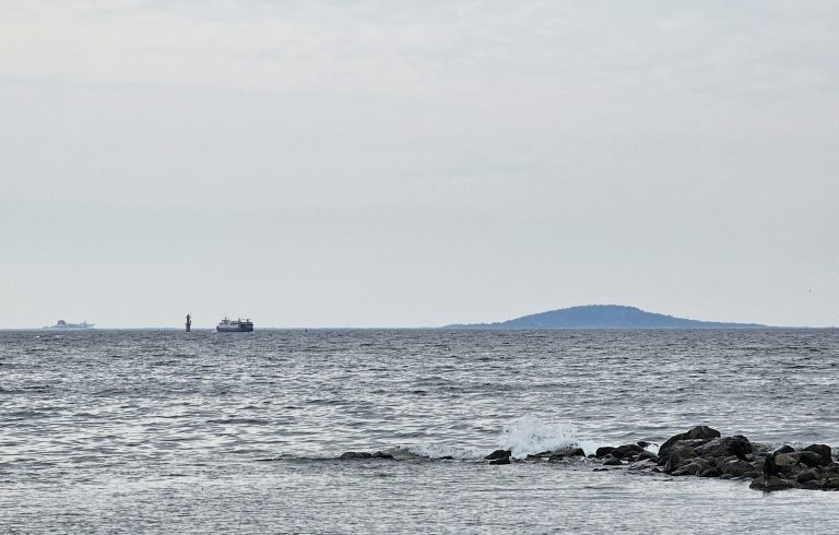 Utsikt från den nya badbryggan vid Havslätts badplats i Oskarshamn