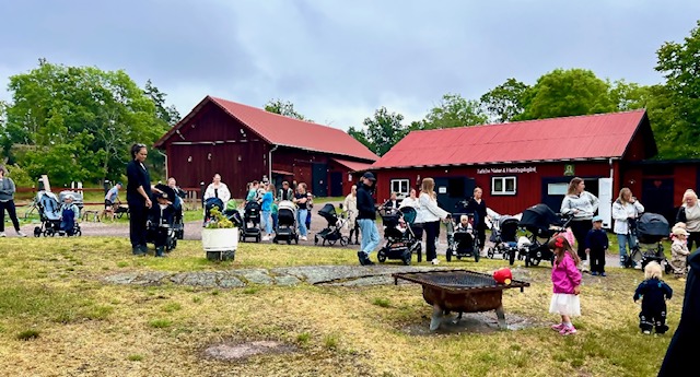 Öppna Förskolan Trollsländans sommarfest på Fallebo Gård i Oskarshamn