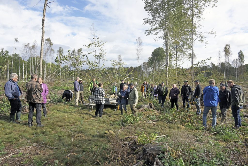 Deltagarna ute på hygget för att planterar.