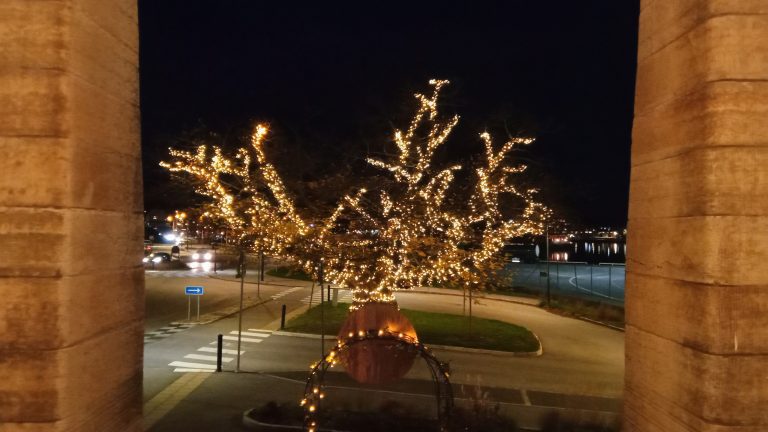 Vingnöten vid järnvägsstationen i Oskarshamn