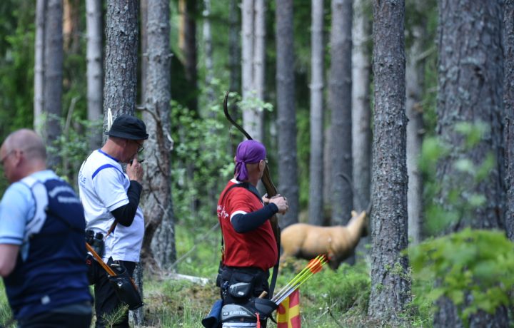 Bågskytte i Bockara