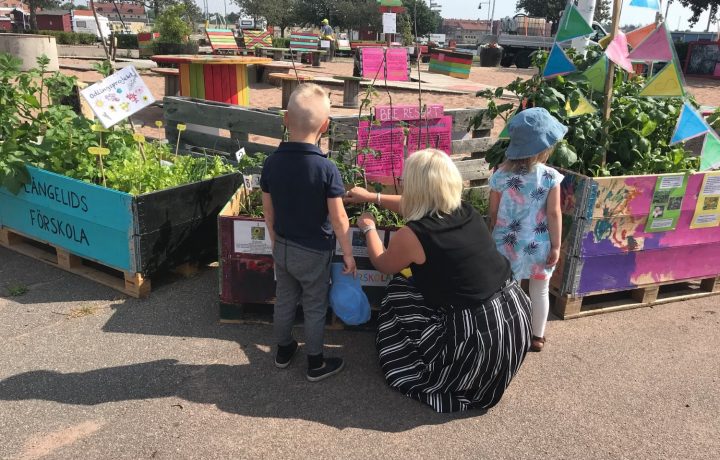 Förskolebarnens blomlådor på Norra kajen