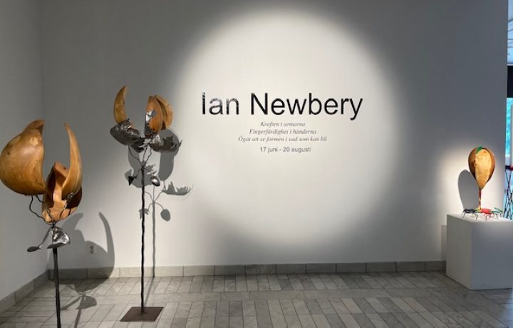 Ian Newbery i konsthallen