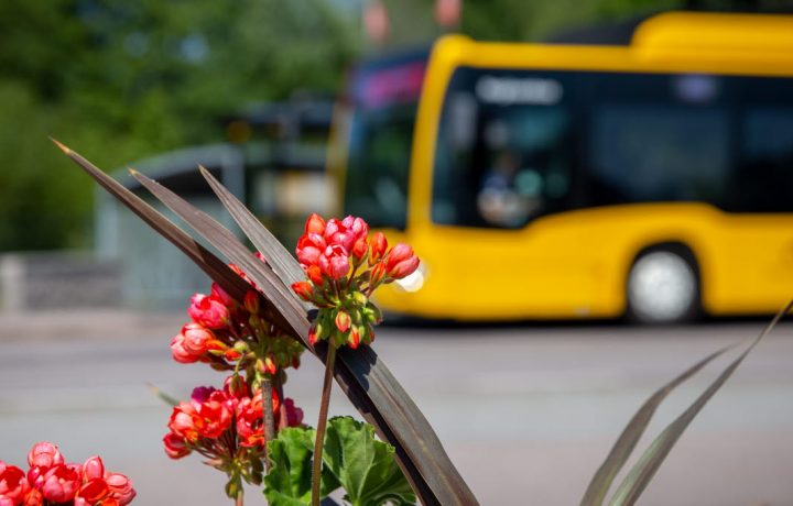 KLT-buss i bakgrunden