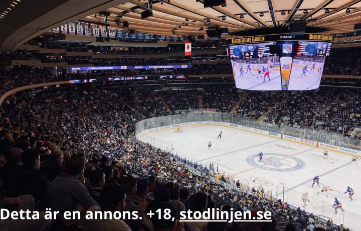 Publiken i Madison Square Garden