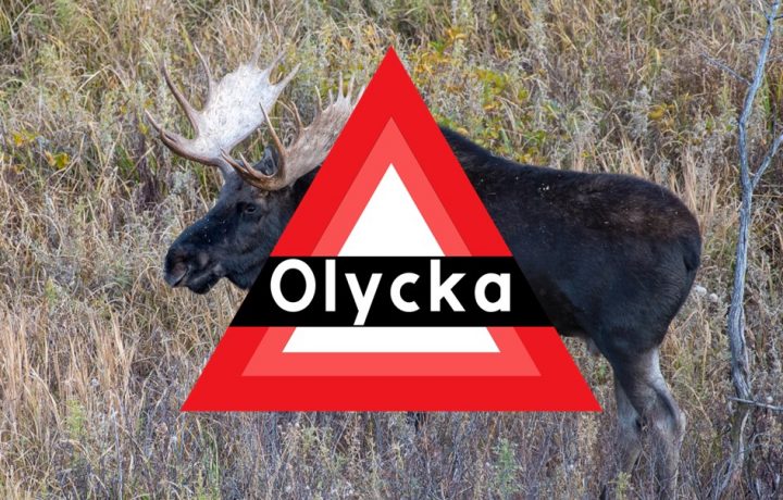 olyckstriangel och älgtjur med skovelhorn