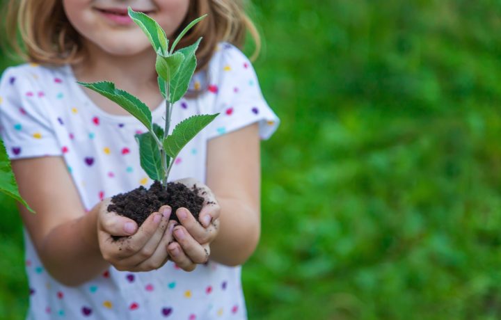 Barn med planta i händerna