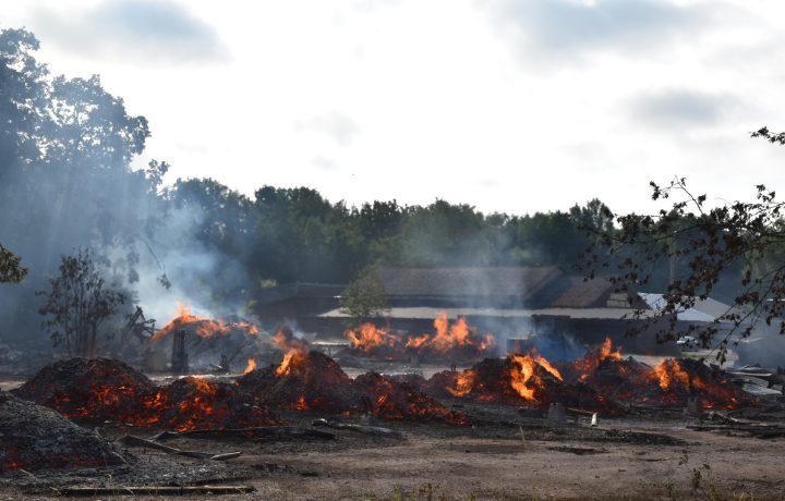 Brand i Sandshult