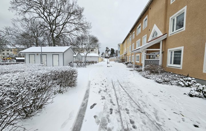 Snö