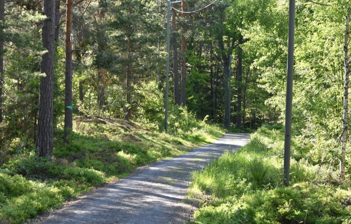 Elljusspåret i Havslätt, Oskarshamn