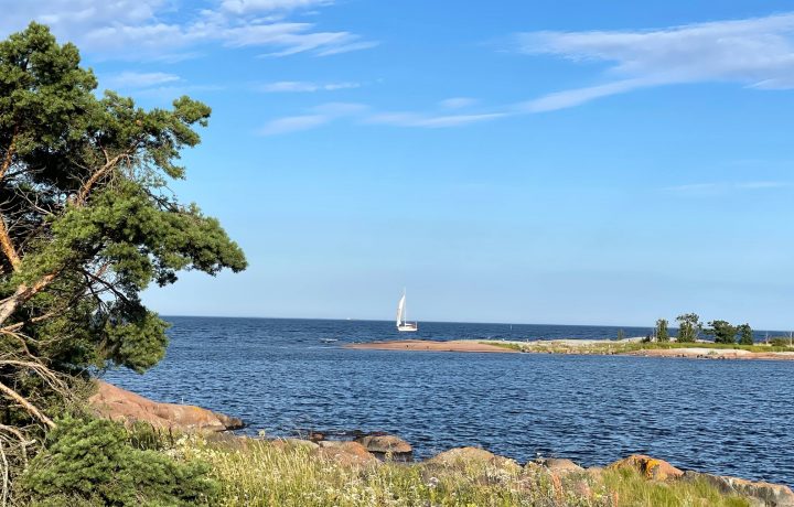 Ernemar i Oskarshamn, segelbåt, sommar, semester