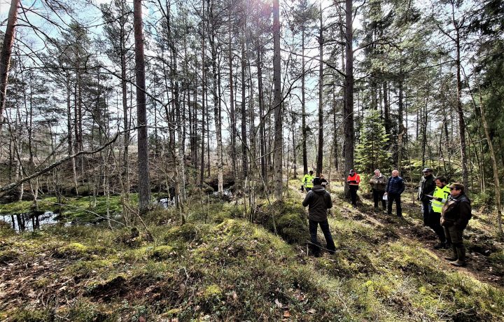 Den kommunägda skogen kring Fallebo i Oskarshamn.