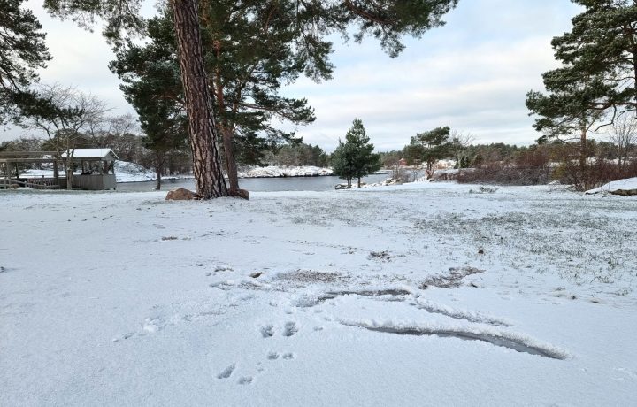 Snö, ishalka, Gunnarsö, Oskarshamn