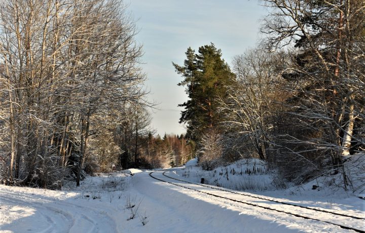 Järnväg i vinterlandskap