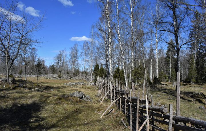 Krokshults naturreservat