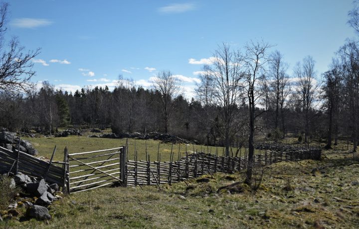 Krokshults naturreservat