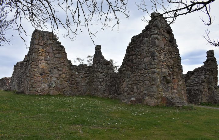 kronobäcksklosterruin004