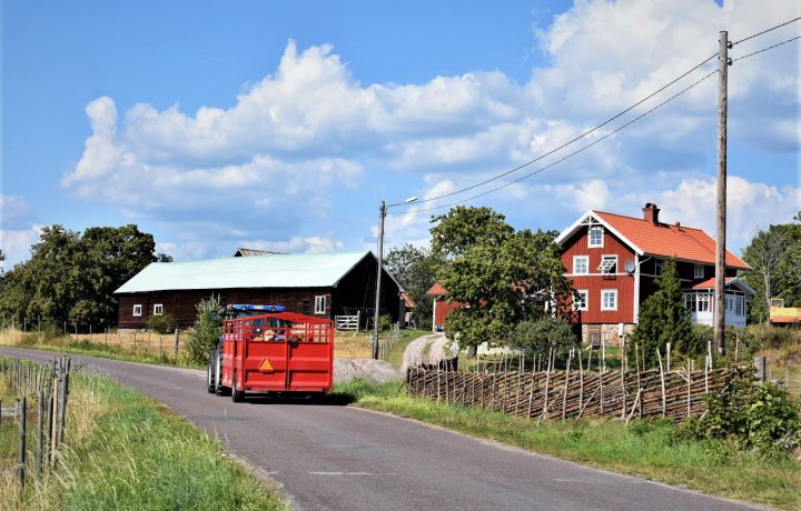 Lantbruk, genrebild