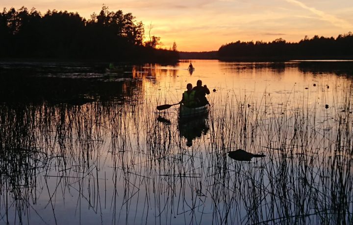 Kanotklubben paddlar i Oskarshamns skärgård