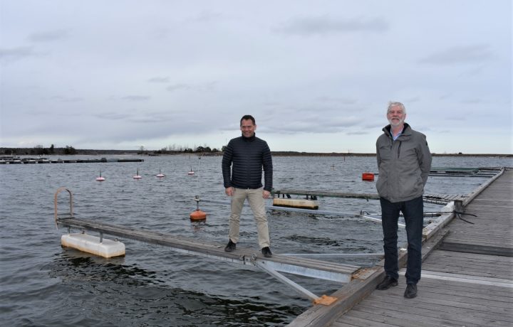 Oppositionsrådet Mathias Karlsson (L) och Ingemar Lennartsson (KD) tittar in i kameran