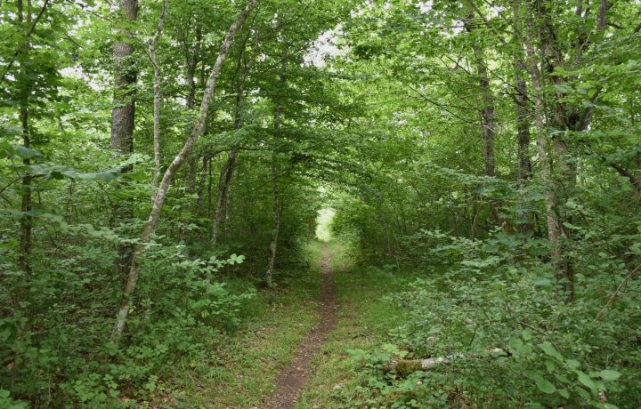 Mittlandsleden, Öland