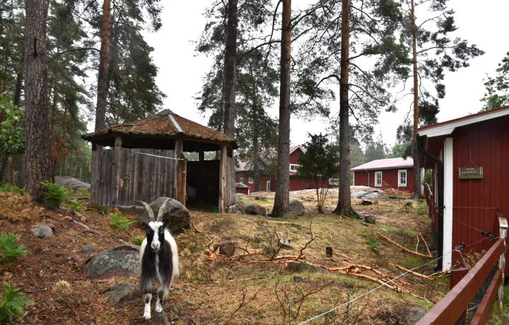 Lantgården Nymålen utanför Oskarshamn